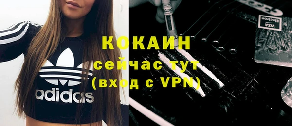 mdpv Горняк