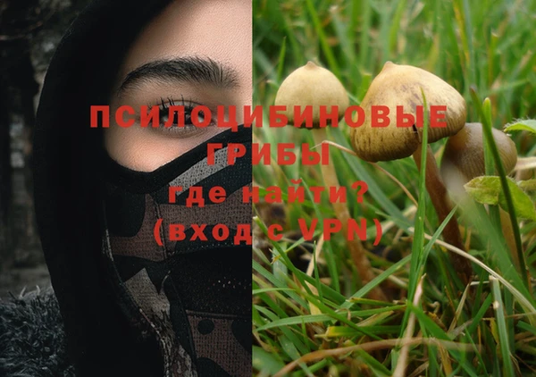 mdpv Горняк