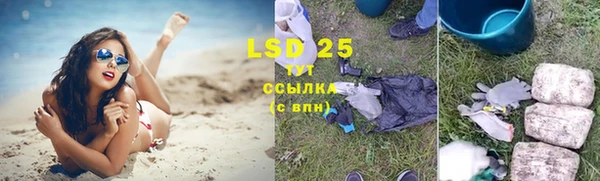 mdpv Горняк
